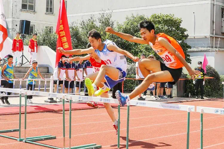 固定地上的网球拍叫什么