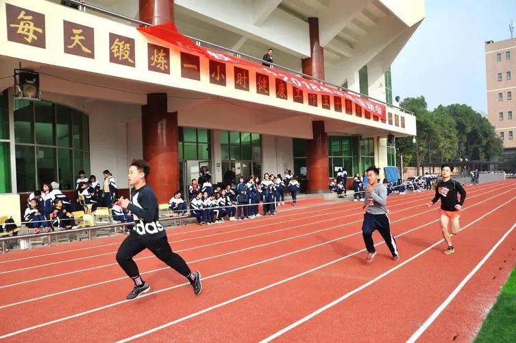 网球拍单人训练器家里怎么用