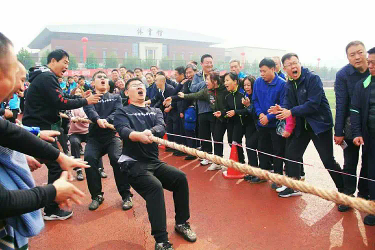 网球拍全碳素是最好的吗_